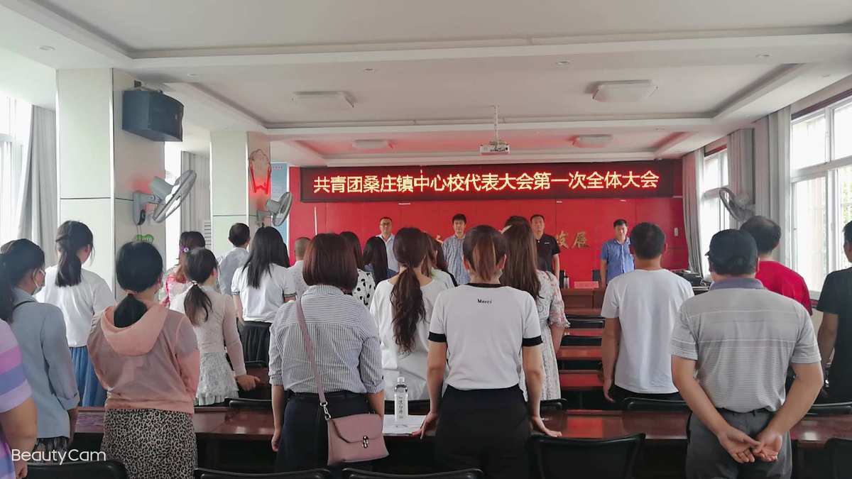 共青团桑庄镇中心校代表大会第一次全体会议