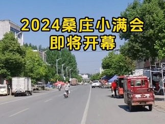 【视频】2024桑庄镇小满会即将开幕，欢迎大家来桑庄街赶会！