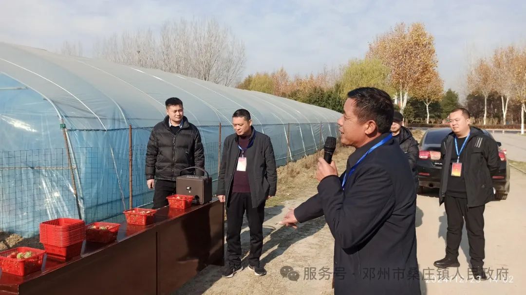 桑庄镇：观摩鼓干劲 评比促提升