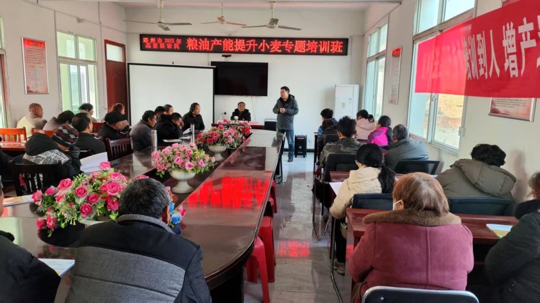 邓州市桑庄镇：高素质农民培训为乡村振兴添动能